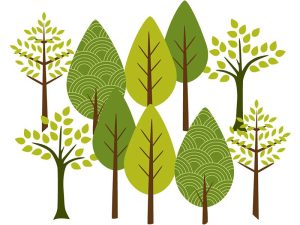 Tu B'Shevat - February 5-6, 2023